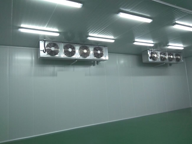 果蔬冷庫(kù)安裝