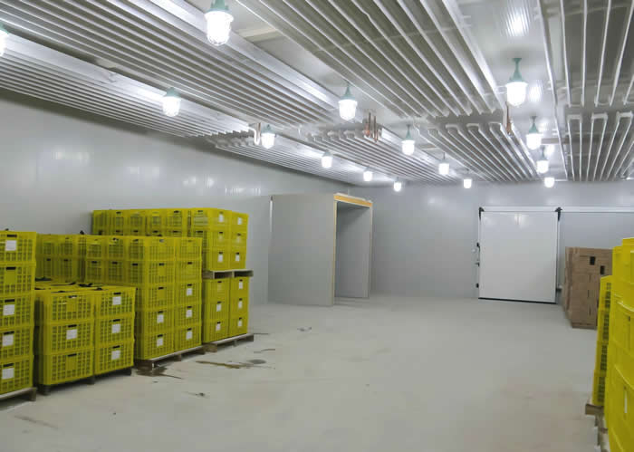 低溫冷庫溫度多少合適？是否越低越好